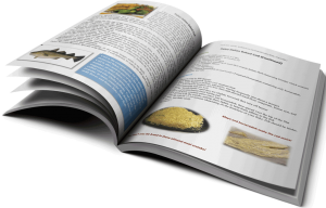 Eats All Good Paleo Recipe Cookbook Open